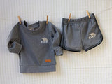 French Terry pull over set (Blue, Dinosaur)