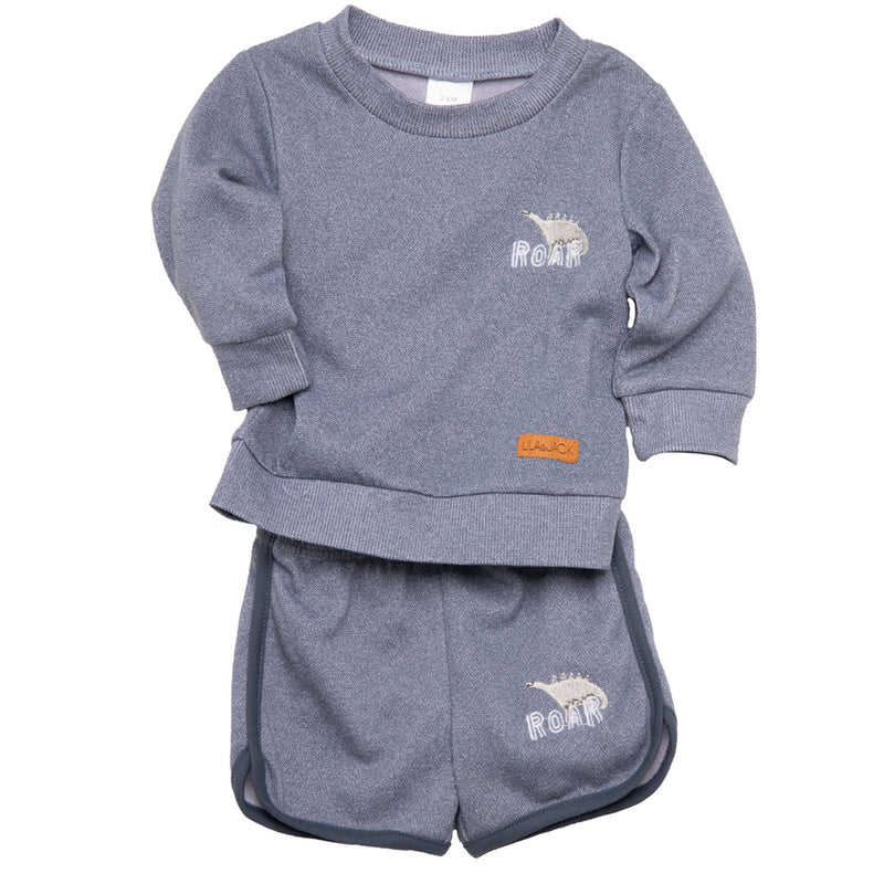 French Terry pull over set (Blue, Dinosaur)